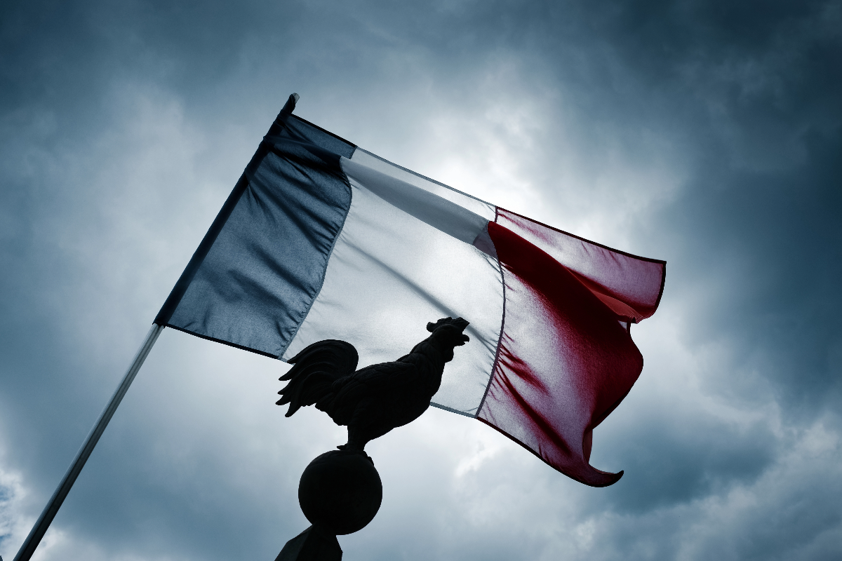 kogut symbol Francja